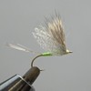 TIEMCO Shimazaki Fly Wing V #05 White