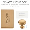 Ravinte 30 Pack Champagne Bronze Round Zinc Cabinet Knobs for