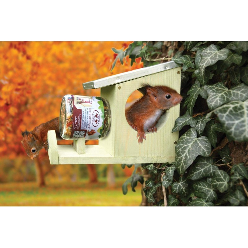 Squirrel Peanut Butter Feeder Holder Food House Garden Animals