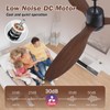 Kinyaras 52" Outdoor Ceiling-Fan with Light: Plug-in Waterproof Hanging Fans,