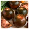 Everwilde Farms - 25 Organic Black Prince Heirloom Tomato Seeds