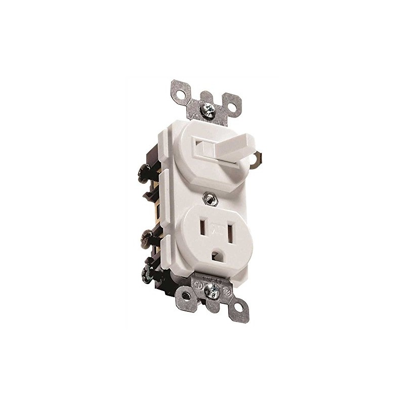 Leviton Combination, 15 Amp, 120 Volt AC Toggle Switch, and