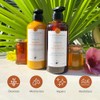 Yucatan Herbal Set de Champú y Acondicionador con Miel de