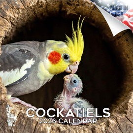 2026 Cockatiels Calendar - 16 Month 12x24 Monthly Wall Planner, Thick No-Bleed Paper, Large Grid, Giftable African Bird Calendar for Teachers, Home, Office, Made in USA