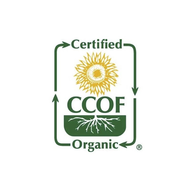 McCabe Organic Tri-Color Barley 2 lbs, USDA & CCOF Organic