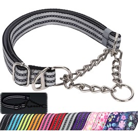 Martingale Collar with Steel Chain,Reflective Nylon Dog Collar with Soft Padded Adjustable Training No Slip Dog Collars (Large, Silver)