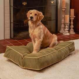 South Pine Porch Buddy Rectangle Pillow Style Dog Bed, Moss, Small (24" x 36")