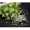 10m Cream White Acrylic Bead String Artificial Pearl Balls Decoration