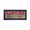Hawkins Military Afghanistan Veteran Hat (Black Classic Ball Cap)