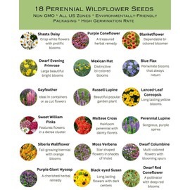 Paper Street Perennials Bulk Wildflower Seed Mix - 1 Pound, All Zones Perennial Mix, Covers 2,000 SQFT