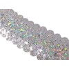 Kirari Handicraft Club No. 5073 Sequin Blade for Handicrafts (with