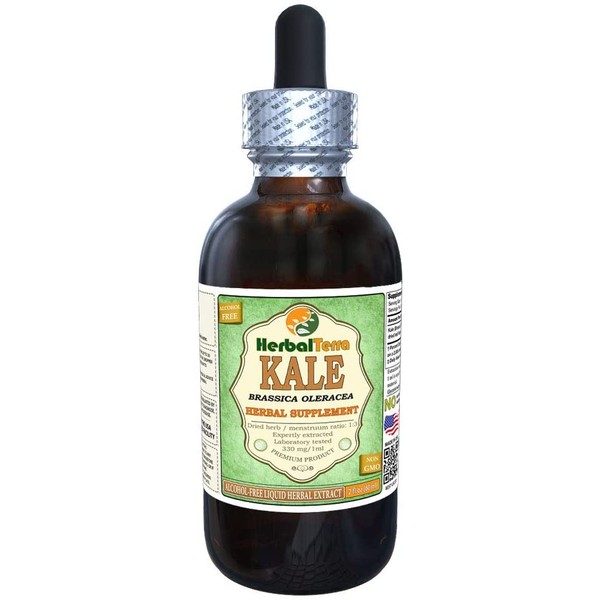 Kale, Red Spiderling (Brassica Oleracea) Dried Leaf Alcohol-Free Liquid Extract (Brand Name: HerbalTerra, Proudly Made in USA) 2 oz