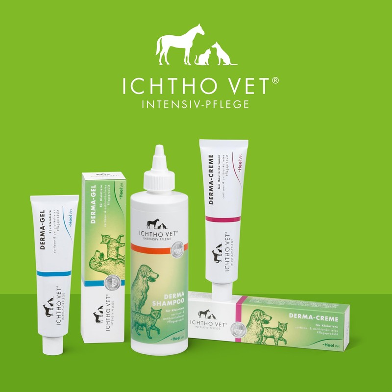 Ichtho vet Derma Gel by Heel Vet - Gentle and