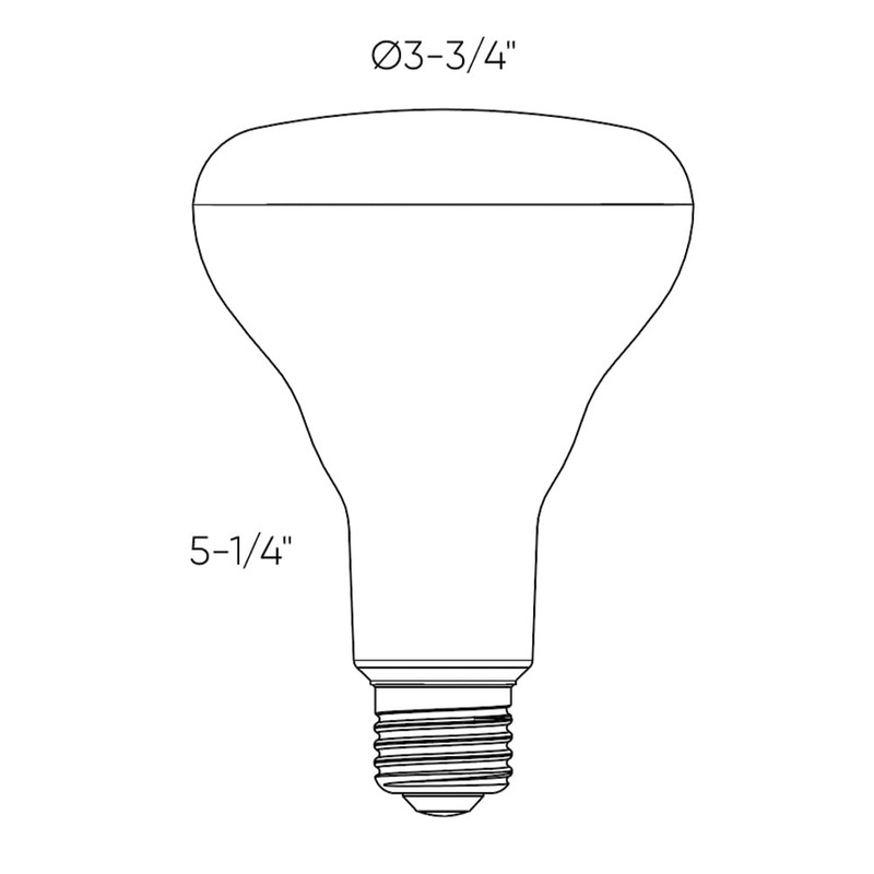 DALS Connect Pro Smart BR30 LED Bulb