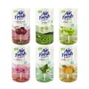 Holmes Air Fresh Crystal Water Freshener 400ml (optional) - D 05-Asian herb scent 2ea