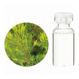 Tree of Life Tea Tree 3ml