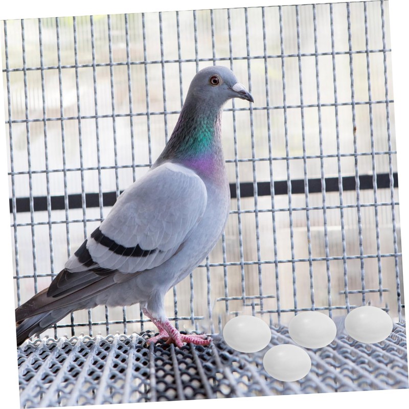 VICASKY 10pcs Large Realistic Fake Bird Eggs Simulation Solid Bird