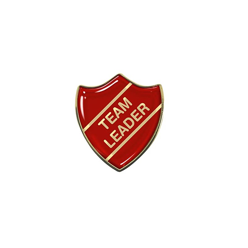 Team Leader Gel Domed Red School Shield Badge