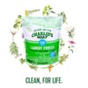 Charlie’s Soap Laundry Powder (100 Loads, 2 Pack) Hypoallergenic Deep