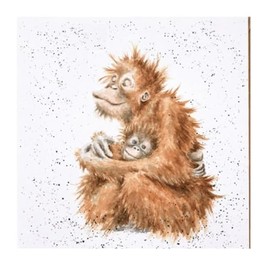Wrendale Designs Orangutan Print on White Square Canvas 20 Centimetre Orangutangle