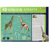 Famemaster 4D Vision Giraffe Anatomy Model