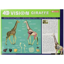Famemaster 4D Vision Giraffe Anatomy Model