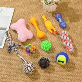 Juguetes para Perro 10 Piezas, Juguete Mordedera para Limpieza Dental, Interactivo para Perros Pequeños y Medianos, Cuerda Pelota para Masticar y Aliv