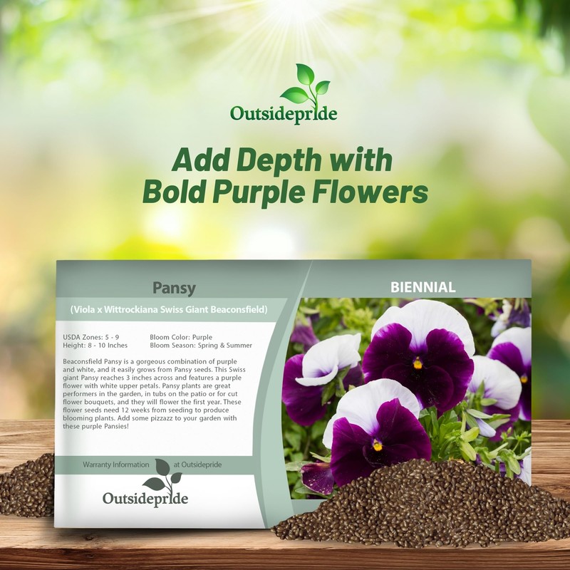 Outsidepride Purple & White Bicolor Beaconsfield Viola Pansy Seeds for