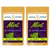 Tulsi Tea Sacred Holy Basil Tea , Sleepy Relax Herbal