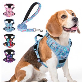BEAUTYZOO No Pull Dog Harness Medium,Adjustable Dog Harness and Leash Set -Easy Wearing with 3 Buckles/Control Handle,No Choke Soft Padded Reflective Pet Vest for Training Walking Hiking,Blue M