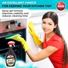 BAGI SHUMANIT - Cold Grease Remover. Spray for The immediate