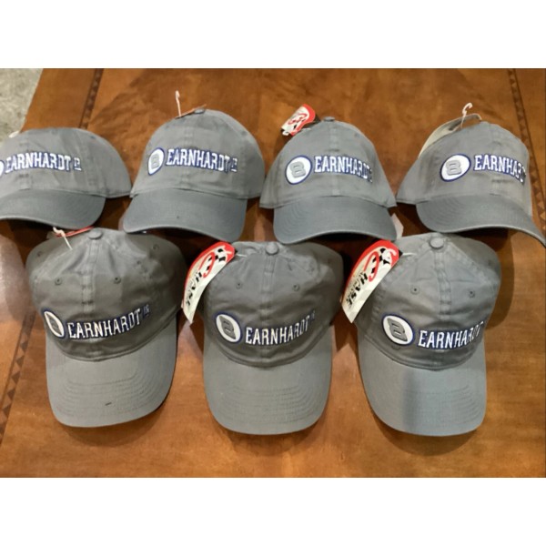 Chase VINTAGE 2001 DALE EARNHARDT JR Gray Ghost HAT CAP