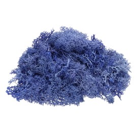 uxcell Preserved Reindeer Moss, 4oz Purple, Pack of 1, Artificial Moss for Crafts, Decoration, Terrariums, Potted Plants, Centerpieces, Fairy Gardens