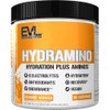 Evlution Nutrition HYDRAMINO Complete Hydration Multiplier, All 6 Electrolytes, Vitamin