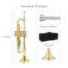 YANASON Bb Standard Trumpet Set for Beginner, Brass Student Trumpet