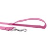 Strong Nylon Dog Leash, for Medium Large Dogs Walking, Training