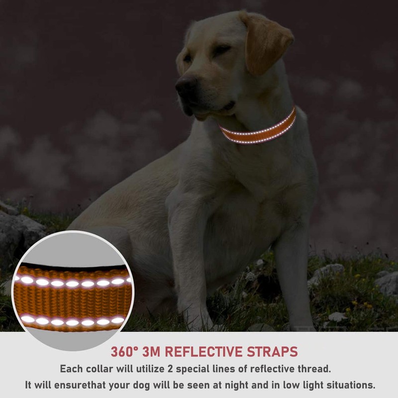 Reflective Dog Collar with Buckle Adjustable Safety Nylon Collars for