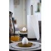 Zone Denmark Singles Standing Kitchen Roll Holder Metal Diameter 14.5