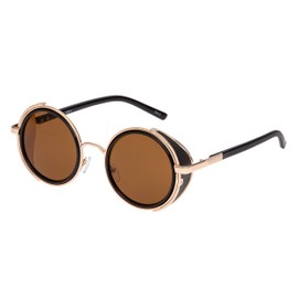 Ultra Gold and Brown Lenses Steampunk Sunglasses Round Glasses Steampunk Goggles Rave Glasses Steam Punk Men or Womens Steampunk Round Sunglasses Cyber Circular