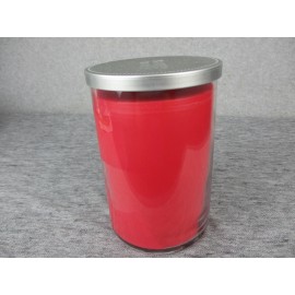 Yankee Candle Juicy Watermelon Large 2-Wick Tumbler Summer Refresher 22oz NEW!