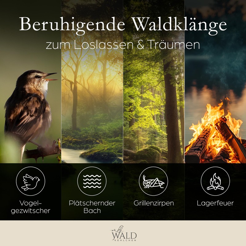 WALDKEHLCHEN - Bird Chirping Box Toilet Motion Sensor Made of