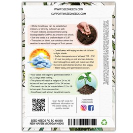 Seed Needs, White Swan Coneflower Seeds - 250 Heirloom Seeds for Planting Echinacea purpurea - Perennial Wildflower Open Pollinated Attracts Pollinators (5 Packs)