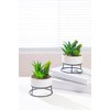 AMOYINC 3 Packs Artificial Plants & Greenery with Ceramic Planters,