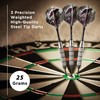 Viper by GLD Products Raven 25 g Steel Tip Darts