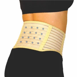 Activease by DickWicks Magnetic Back Support Belt, Deluxe Lower Back Brace, Beige (MED)