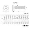 TERF® M4 X 50mm Hex Socket Countersunk Machine Screws Stainless