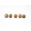 Whole Nutmeg by Slofoodgroup (Grown in Sri Lanka ) (2