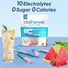 36 Sticks Electrolytes Powder Packets Sugar Free Hydration Packets Electrolyte