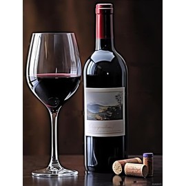 PUAGEMTI 5D Wine Glass Diamond Painting Kits Bottle of Red Wine and Glass for Adults, DIY Full Drill Crystal Arts and Crafts, Home Wall Decor Gifts 12x16 inch