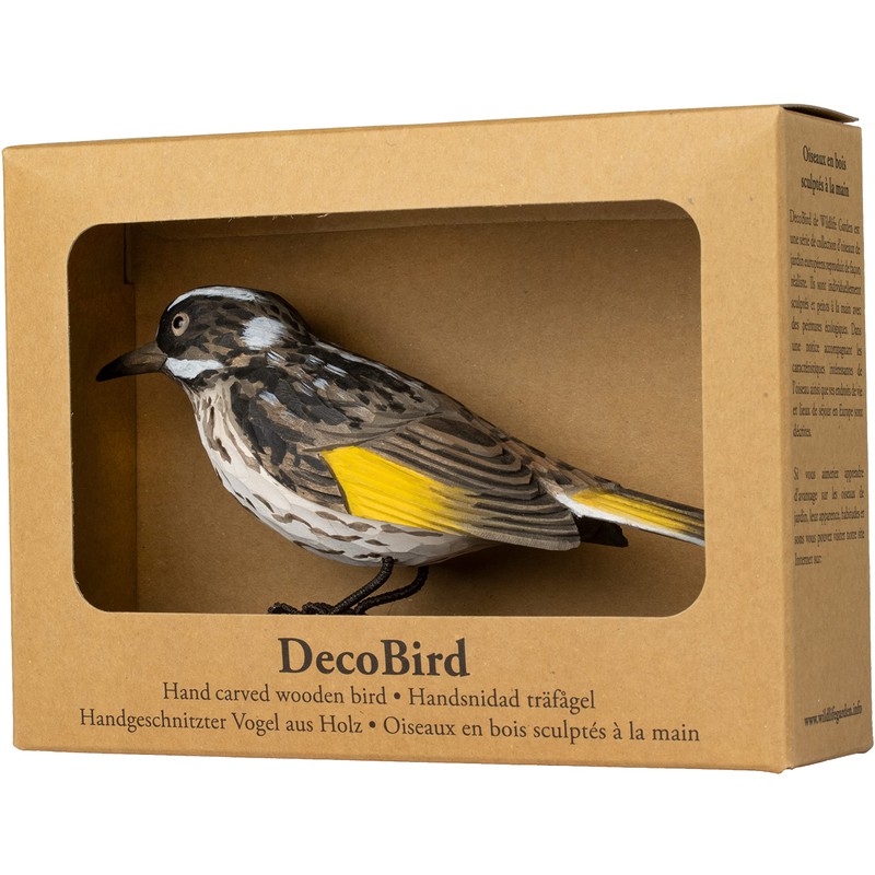 WILDLIFEGARDEN Wildlife Garden WG4806 DecoBird White-Eye Honey Eater - Hand